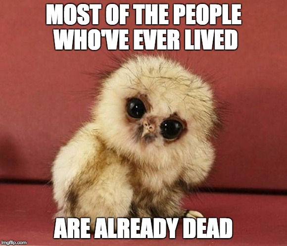 Harsh Truth Animal -- Baby Owl reflects on mortality | MOST OF THE PEOPLE WHO'VE EVER LIVED; ARE ALREADY DEAD | image tagged in baby owl | made w/ Imgflip meme maker