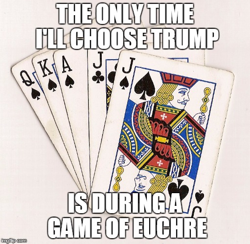 Euchre hand | THE ONLY TIME I'LL CHOOSE TRUMP; IS DURING A GAME OF EUCHRE | image tagged in euchre hand | made w/ Imgflip meme maker
