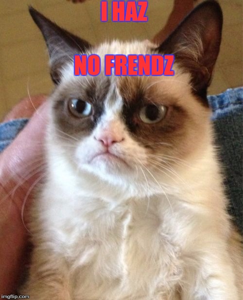 Grumpy Cat Meme | I HAZ; NO FRENDZ | image tagged in memes,grumpy cat | made w/ Imgflip meme maker
