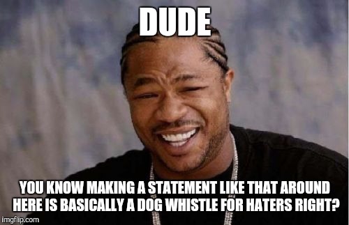 Yo Dawg Heard You Meme | DUDE YOU KNOW MAKING A STATEMENT LIKE THAT AROUND HERE IS BASICALLY A DOG WHISTLE FOR HATERS RIGHT? | image tagged in memes,yo dawg heard you | made w/ Imgflip meme maker