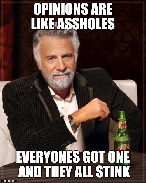 The Most Interesting Man In The World | OPINIONS ARE LIKE ASSHOLES; EVERYONES GOT ONE AND THEY ALL STINK | image tagged in memes,the most interesting man in the world | made w/ Imgflip meme maker
