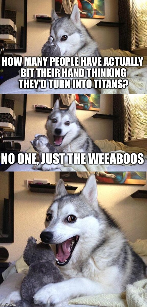 Seriously, guys, how many weeaboos do you think bit their hands thinking they'd turn into Titans? | HOW MANY PEOPLE HAVE ACTUALLY BIT THEIR HAND THINKING THEY'D TURN INTO TITANS? NO ONE, JUST THE WEEABOOS | image tagged in memes,bad pun dog | made w/ Imgflip meme maker