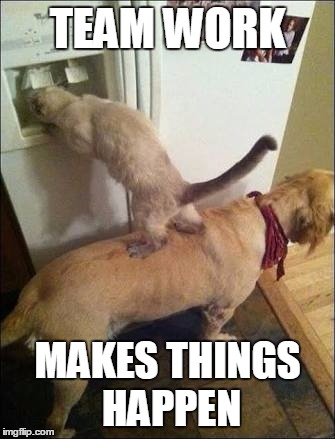 Smart animals | TEAM WORK; MAKES THINGS HAPPEN | image tagged in smart animals | made w/ Imgflip meme maker