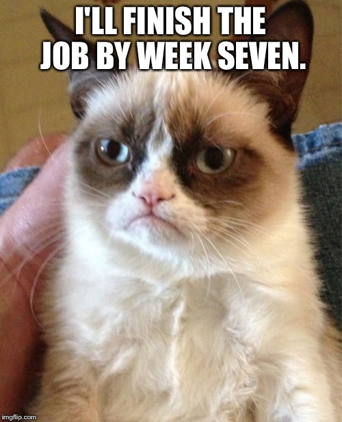 Grumpy Cat Meme | I'LL FINISH THE JOB BY WEEK SEVEN. | image tagged in memes,grumpy cat | made w/ Imgflip meme maker