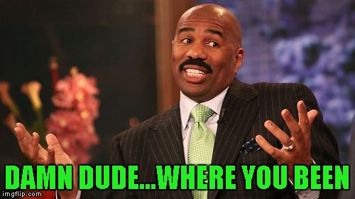 Steve Harvey Meme | DAMN DUDE...WHERE YOU BEEN | image tagged in memes,steve harvey | made w/ Imgflip meme maker