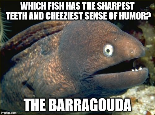 Bad Joke Eel Meme | WHICH FISH HAS THE SHARPEST TEETH AND CHEEZIEST SENSE OF HUMOR? THE BARRAGOUDA | image tagged in memes,bad joke eel | made w/ Imgflip meme maker