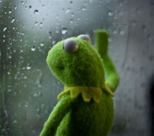 sad kermit at window Blank Meme Template