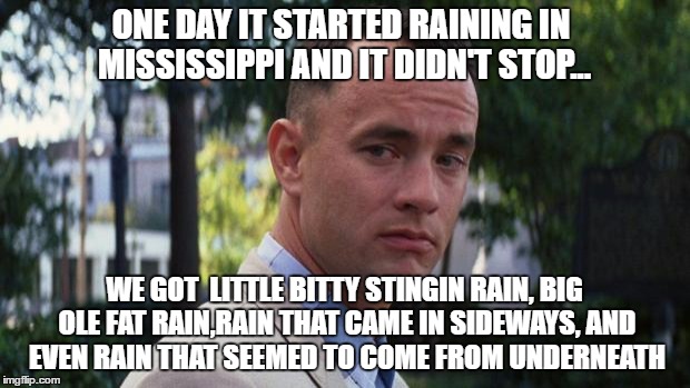 Forest Gump | ONE DAY IT STARTED RAINING IN MISSISSIPPI AND IT DIDN'T STOP... WE GOT  LITTLE BITTY STINGIN RAIN, BIG OLE FAT RAIN,RAIN THAT CAME IN SIDEWAYS, AND EVEN RAIN THAT SEEMED TO COME FROM UNDERNEATH | image tagged in forest gump | made w/ Imgflip meme maker