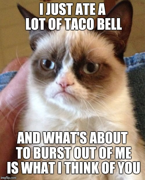 Grumpy Cat Meme | I JUST ATE A LOT OF TACO BELL; AND WHAT'S ABOUT TO BURST OUT OF ME IS WHAT I THINK OF YOU | image tagged in memes,grumpy cat | made w/ Imgflip meme maker