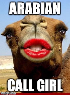 Desert Hoe | ARABIAN; CALL GIRL | image tagged in meme,drsarcasm,arabian call girl,camel,lipstick | made w/ Imgflip meme maker