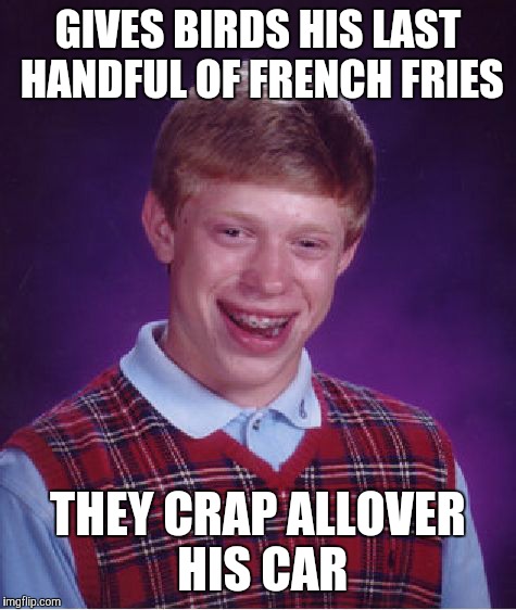 Bad Luck Brian Meme | GIVES BIRDS HIS LAST HANDFUL OF FRENCH FRIES; THEY CRAP ALLOVER HIS CAR | image tagged in memes,bad luck brian | made w/ Imgflip meme maker