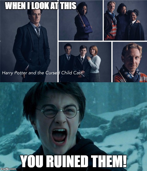 WHEN I LOOK AT THIS; YOU RUINED THEM! | image tagged in harry potter | made w/ Imgflip meme maker