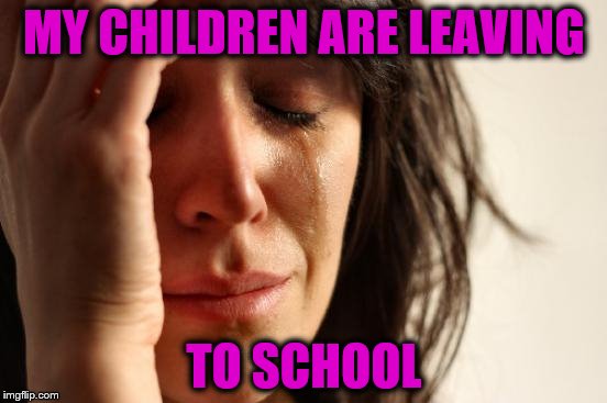 First World Problems Meme | MY CHILDREN ARE LEAVING; TO SCHOOL | image tagged in memes,first world problems | made w/ Imgflip meme maker