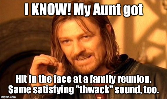 One Does Not Simply Meme | I KNOW! My Aunt got Hit in the face at a family reunion. Same satisfying "thwack" sound, too. | image tagged in memes,one does not simply | made w/ Imgflip meme maker
