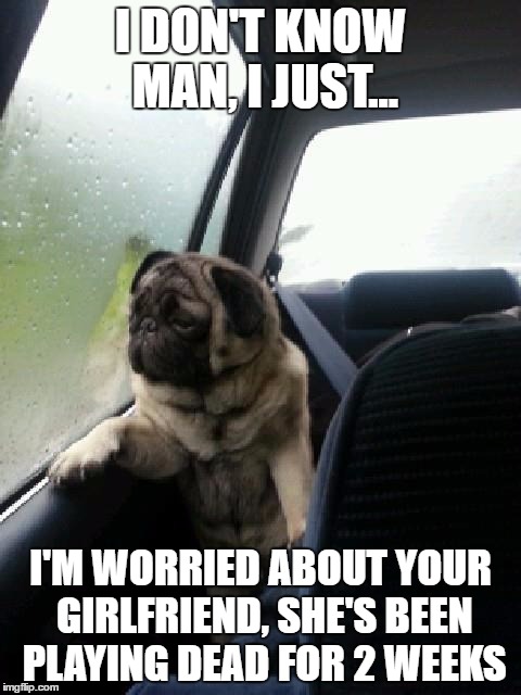 Introspective Pug
 | I DON'T KNOW MAN, I JUST... I'M WORRIED ABOUT YOUR GIRLFRIEND, SHE'S BEEN PLAYING DEAD FOR 2 WEEKS | image tagged in introspective pug,murder,ex girlfriend,memes | made w/ Imgflip meme maker