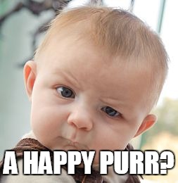 Skeptical Baby Meme | A HAPPY PURR? | image tagged in memes,skeptical baby | made w/ Imgflip meme maker