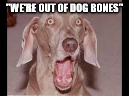 Surprised Dog | "WE'RE OUT OF DOG BONES" | image tagged in no bones,out of dog bones,suprised dog | made w/ Imgflip meme maker