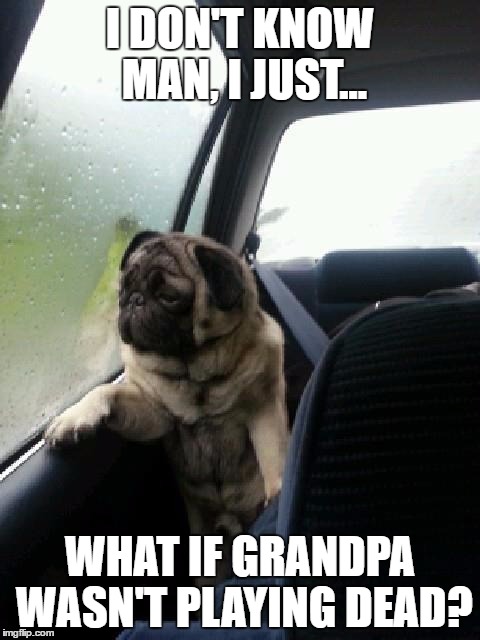 Introspective Pug | I DON'T KNOW MAN, I JUST... WHAT IF GRANDPA WASN'T PLAYING DEAD? | image tagged in introspective pug,memes | made w/ Imgflip meme maker