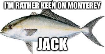 I'M RATHER KEEN ON MONTEREY JACK | image tagged in jack | made w/ Imgflip meme maker