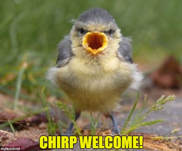 CHIRP WELCOME! | made w/ Imgflip meme maker