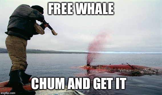FREE WHALE CHUM AND GET IT | made w/ Imgflip meme maker