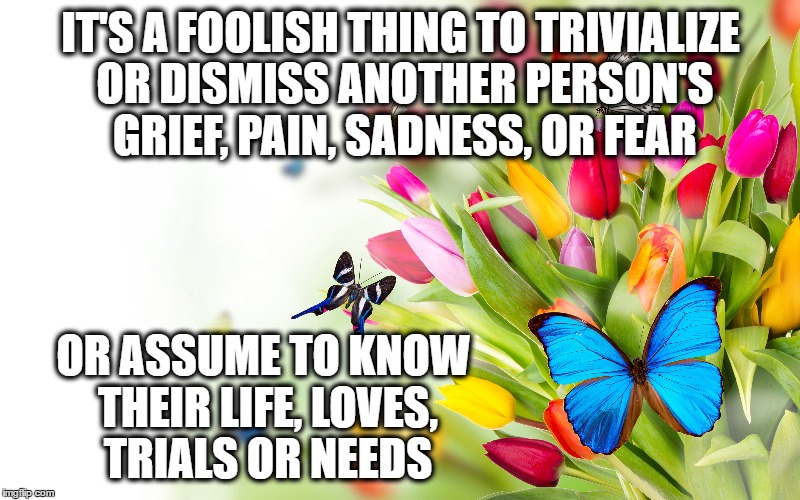 Make light of your own suffering, and humble your own greatness, not others. | IT'S A FOOLISH THING TO TRIVIALIZE OR DISMISS ANOTHER PERSON'S GRIEF, PAIN, SADNESS, OR FEAR; OR ASSUME TO KNOW THEIR LIFE, LOVES, TRIALS OR NEEDS | image tagged in butterfly | made w/ Imgflip meme maker