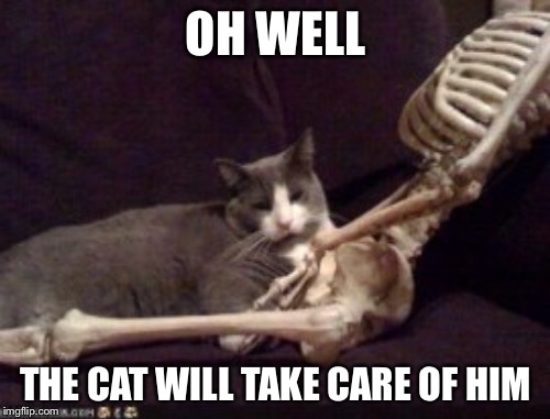 OH WELL THE CAT WILL TAKE CARE OF HIM | made w/ Imgflip meme maker