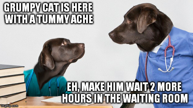 GRUMPY CAT IS HERE WITH A TUMMY ACHE EH, MAKE HIM WAIT 2 MORE HOURS IN THE WAITING ROOM | made w/ Imgflip meme maker