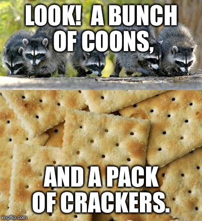 LOOK!  A BUNCH OF COONS, AND A PACK OF CRACKERS. | image tagged in raccoon,crackers,insults,racist,dank meme,dank | made w/ Imgflip meme maker