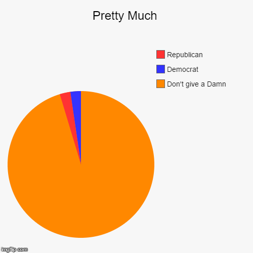 Voting Preferences | image tagged in funny,pie charts | made w/ Imgflip chart maker