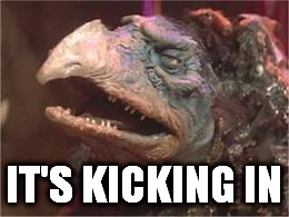 I can feel it now. | IT'S KICKING IN | image tagged in memes,chamberlain,dark crystal,skeksis,stoned guy | made w/ Imgflip meme maker