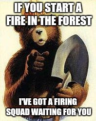 Seriously fed up with all these fires | IF YOU START A FIRE IN THE FOREST; I'VE GOT A FIRING SQUAD WAITING FOR YOU | image tagged in smokey the bear says,memes | made w/ Imgflip meme maker