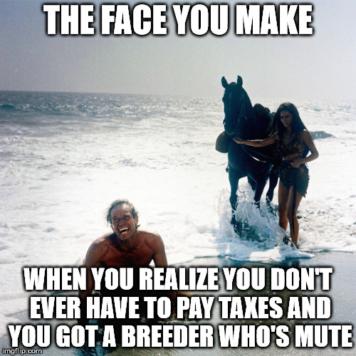 Planet Of The Apes | THE FACE YOU MAKE; WHEN YOU REALIZE YOU DON'T EVER HAVE TO PAY TAXES AND YOU GOT A BREEDER WHO'S MUTE | image tagged in planet of the apes | made w/ Imgflip meme maker