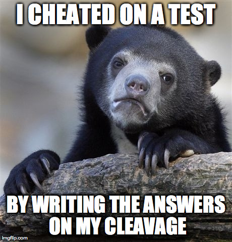 Confession Bear Meme | I CHEATED ON A TEST BY WRITING THE ANSWERS ON MY CLEAVAGE | image tagged in memes,confession bear,AdviceAnimals | made w/ Imgflip meme maker