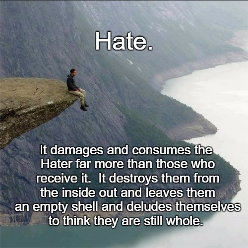 Hate | Hate. It damages and consumes the Hater far more than those who receive it.  It destroys them from the inside out and leaves them an empty shell and deludes themselves to think they are still whole. | image tagged in alone | made w/ Imgflip meme maker