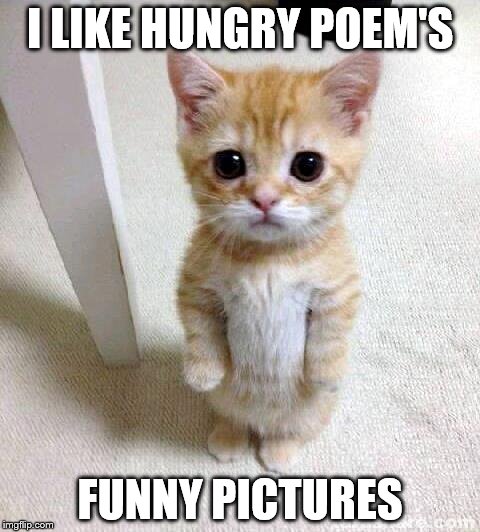Cute Cat Meme | I LIKE HUNGRY POEM'S; FUNNY PICTURES | image tagged in memes,cute cat | made w/ Imgflip meme maker