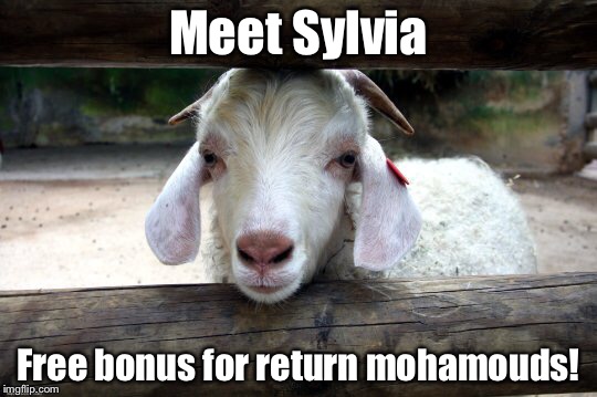 Meet Sylvia Free bonus for return mohamouds! | made w/ Imgflip meme maker