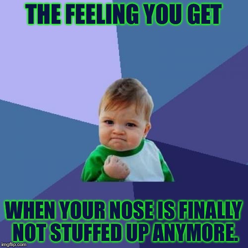 I Can Smell Again! | THE FEELING YOU GET; WHEN YOUR NOSE IS FINALLY NOT STUFFED UP ANYMORE. | image tagged in memes,success kid,funny,sick,stop reading the tags | made w/ Imgflip meme maker