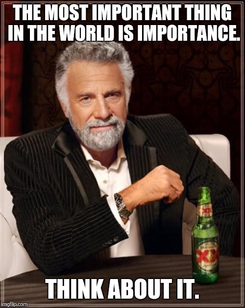 The Most Interesting Man In The World Meme | THE MOST IMPORTANT THING IN THE WORLD IS IMPORTANCE. THINK ABOUT IT. | image tagged in memes,the most interesting man in the world | made w/ Imgflip meme maker