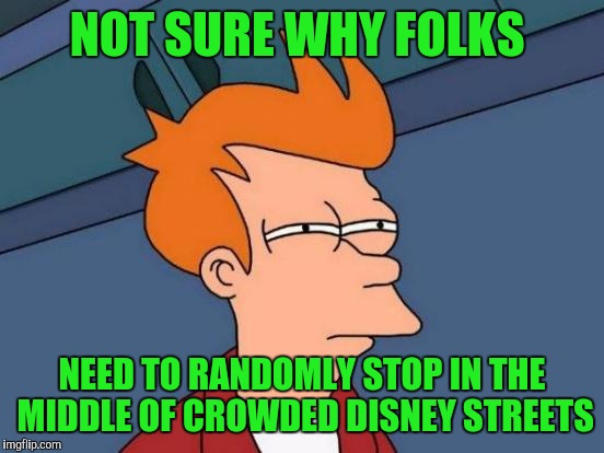 Futurama Fry | NOT SURE WHY FOLKS; NEED TO RANDOMLY STOP IN THE MIDDLE OF CROWDED DISNEY STREETS | image tagged in memes,futurama fry | made w/ Imgflip meme maker