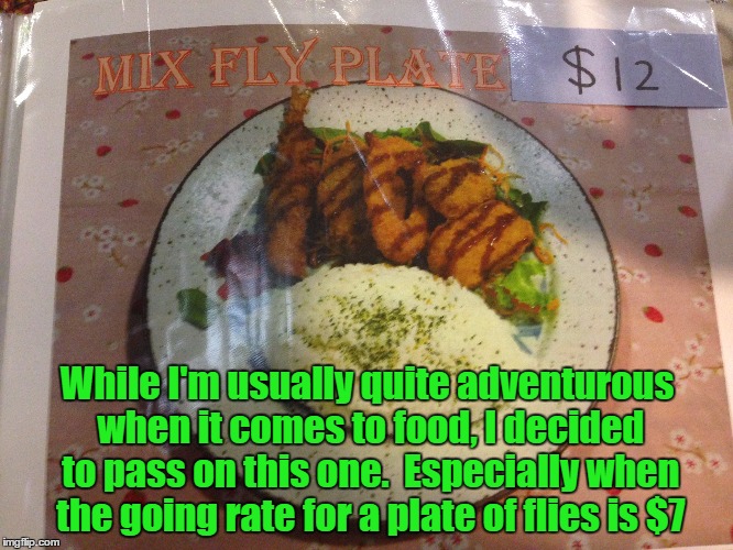 Meanwhile, at my local take away... | While I'm usually quite adventurous when it comes to food, I decided to pass on this one.  Especially when the going rate for a plate of flies is $7 | image tagged in memes,funny food | made w/ Imgflip meme maker