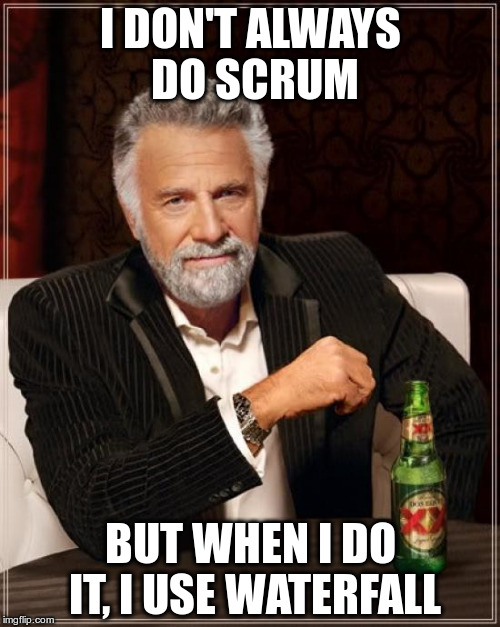 The Most Interesting Man In The World Meme | I DON'T ALWAYS DO SCRUM; BUT WHEN I DO IT, I USE WATERFALL | image tagged in memes,the most interesting man in the world | made w/ Imgflip meme maker