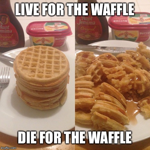 Waffles delight  | LIVE FOR THE WAFFLE; DIE FOR THE WAFFLE | image tagged in waffles delight | made w/ Imgflip meme maker