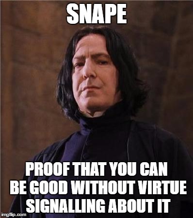 snape | SNAPE; PROOF THAT YOU CAN BE GOOD WITHOUT VIRTUE SIGNALLING ABOUT IT | image tagged in snape,memes,political correctness | made w/ Imgflip meme maker