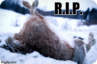 R.I.P. | made w/ Imgflip meme maker