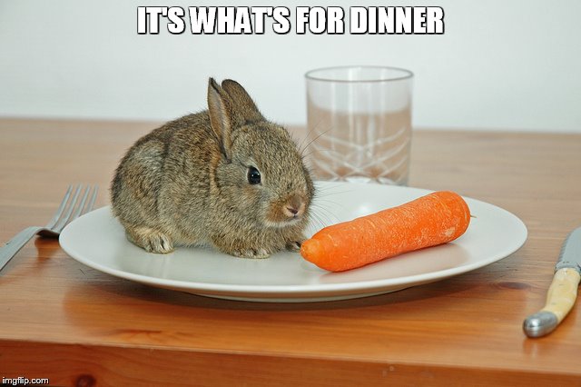 IT'S WHAT'S FOR DINNER | made w/ Imgflip meme maker