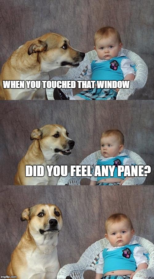 Dad Joke Dog Meme | WHEN YOU TOUCHED THAT WINDOW; DID YOU FEEL ANY PANE? | image tagged in memes,dad joke dog | made w/ Imgflip meme maker
