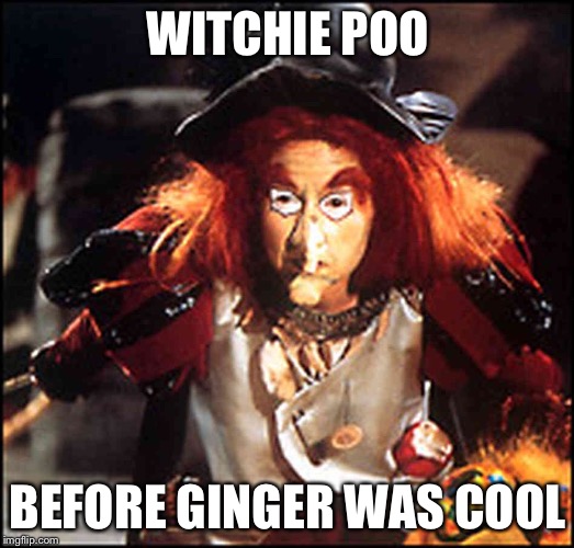 WITCHIE POO; BEFORE GINGER WAS COOL | image tagged in witchie poo | made w/ Imgflip meme maker