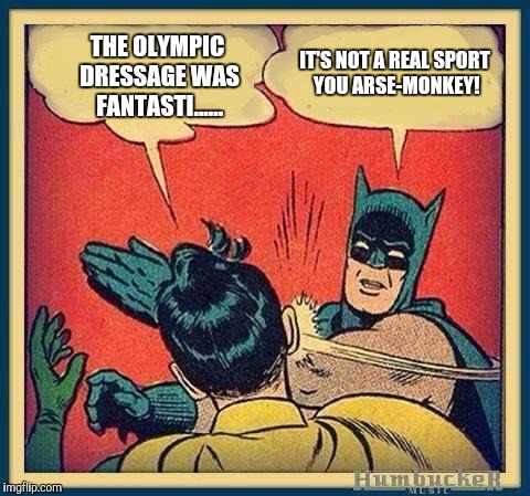 batman and robin | THE OLYMPIC DRESSAGE WAS FANTASTI...... IT'S NOT A REAL SPORT YOU ARSE-MONKEY! | image tagged in batman and robin | made w/ Imgflip meme maker