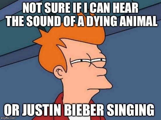 Futurama Fry Meme | NOT SURE IF I CAN HEAR THE SOUND OF A DYING ANIMAL; OR JUSTIN BIEBER SINGING | image tagged in memes,futurama fry | made w/ Imgflip meme maker